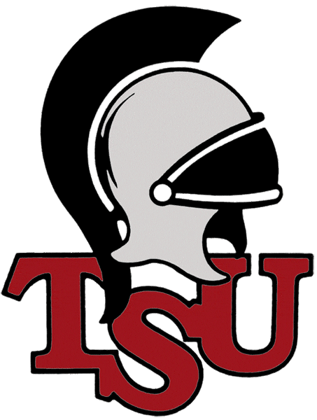 Troy Trojans 1993-2003 Primary Logo iron on transfers for clothing